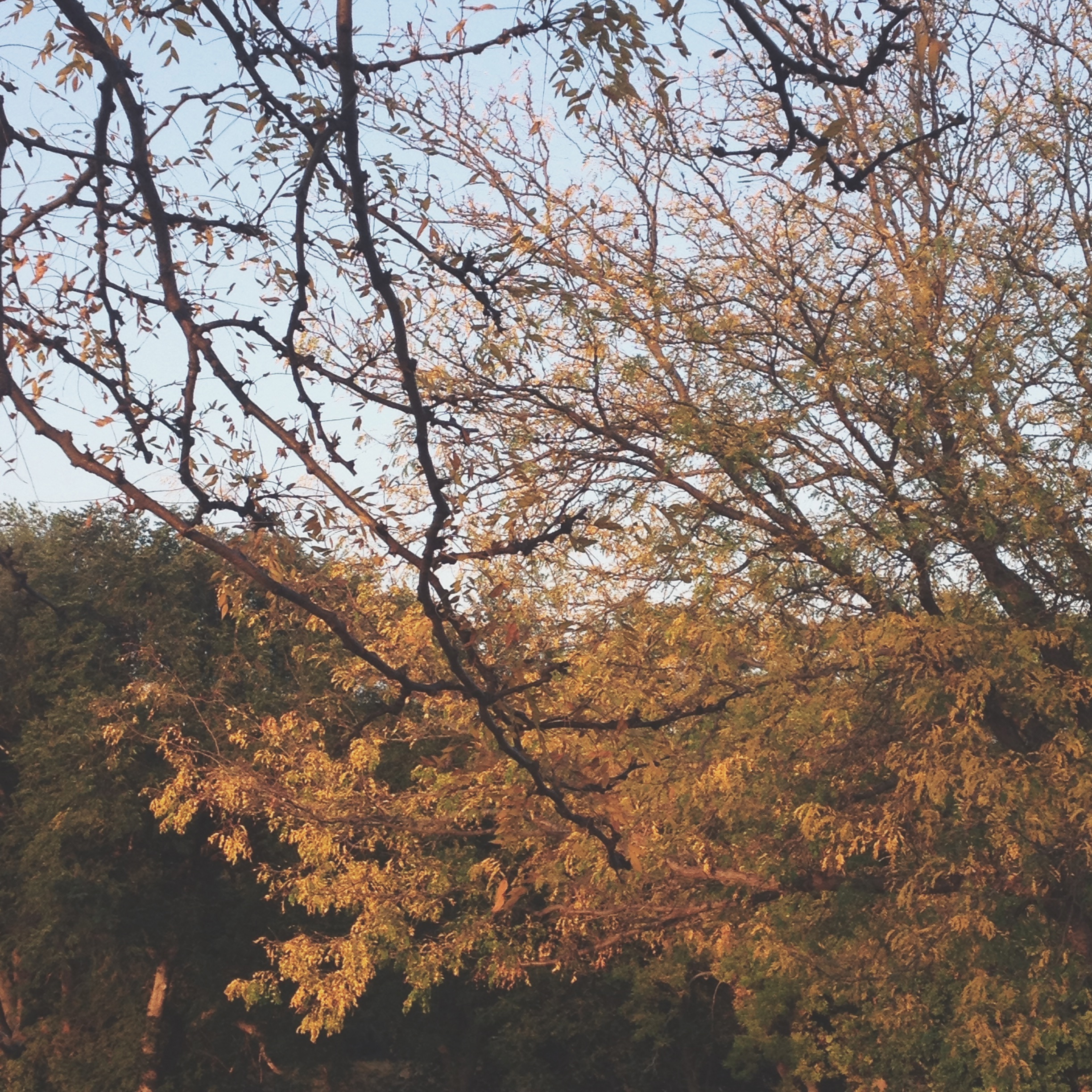 Fall Date Ideas