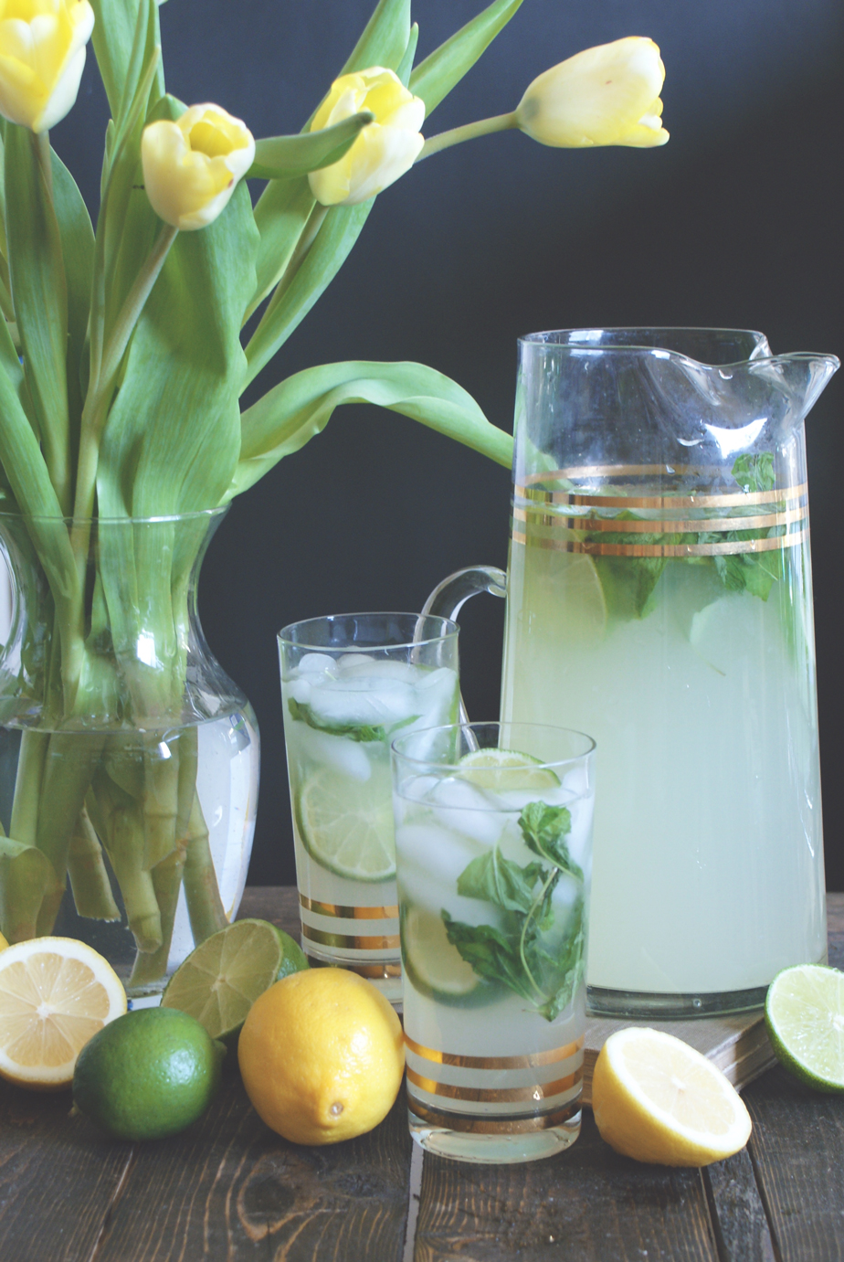 Vodka Mint Limeade Jillianastasia