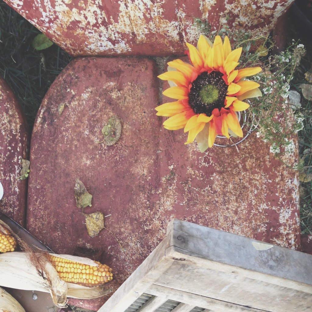 Rustic red patina + sunflower