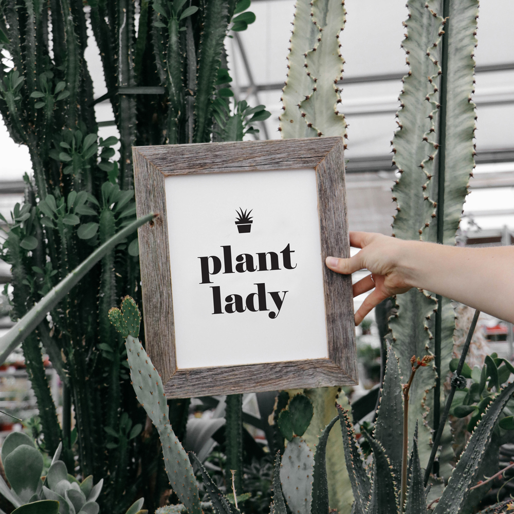 Plant Lady Art Print with Succulents in a Greenhouse
