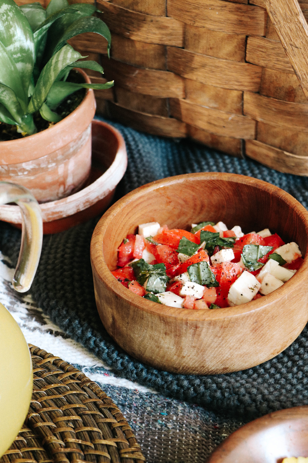 Easy Recipe - Tomato and Mozzarella Salad with Basil - Side Dish Recipe | theanastasiaco.com