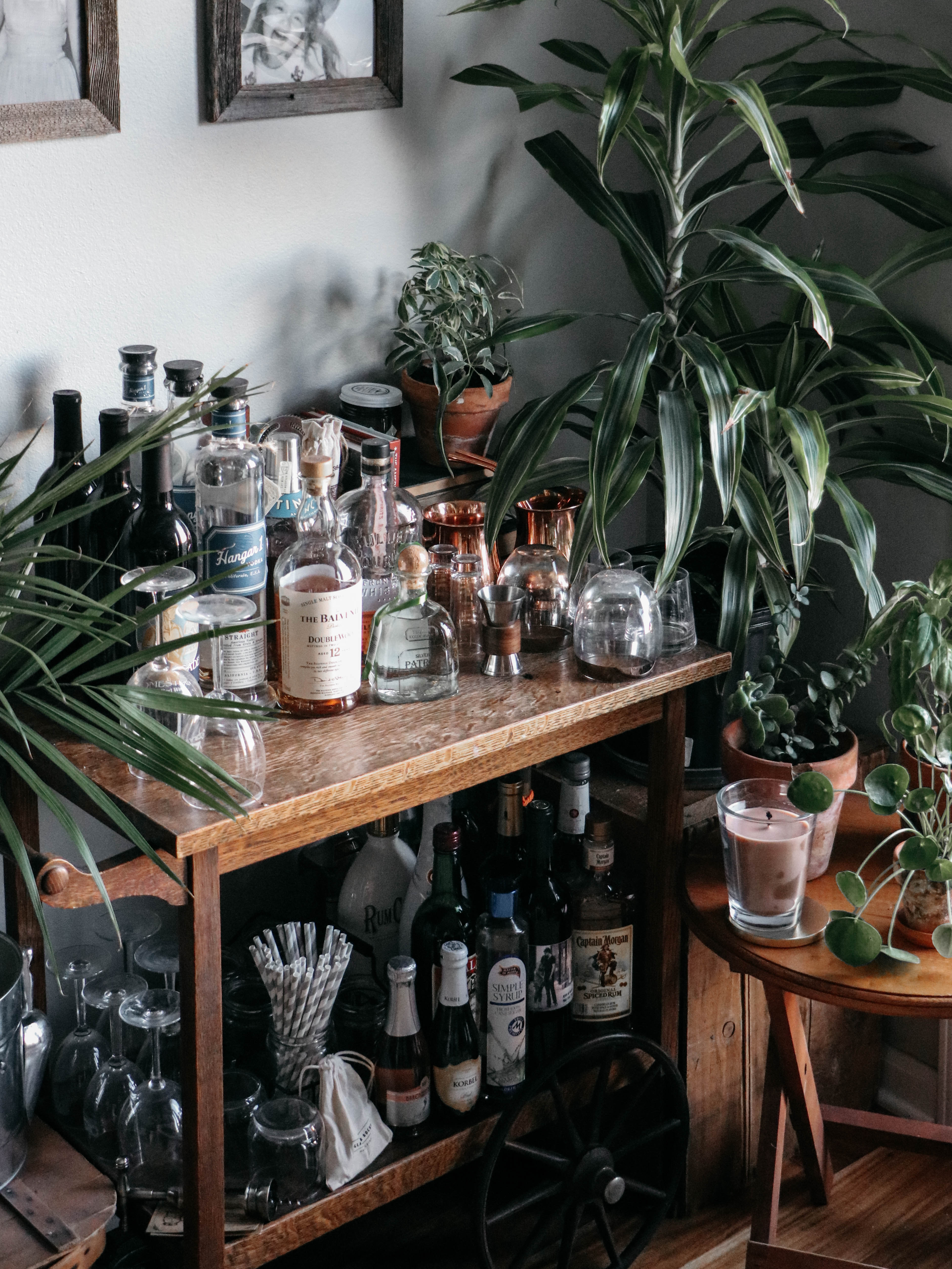 Plant Bar Cart / Why You Need House Plants in Your Home / Houseplants / Indoor Plants / House plants / Air Purifying / theanastasiaco.com @theanastasiaco