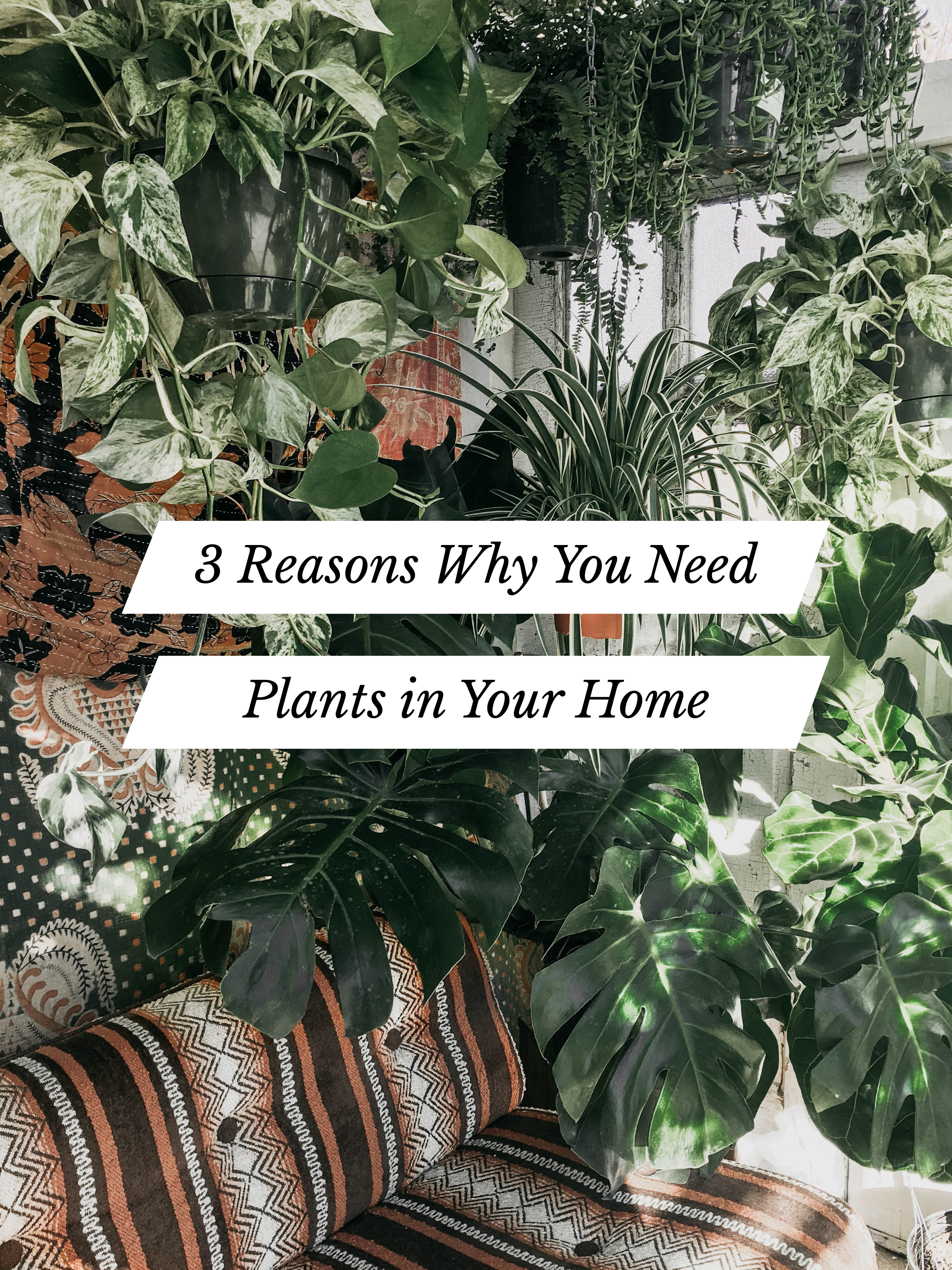 The best way to bring the outdoors in? Houseplants, of course. Indoor plants will purify your air, add beauty to your home, and reduce your stress levels. Plants make people happy. Read more about the three reasons why your home should have plants, and you'll be on your way to becoming a plant lady! / theanastasiaco.com / @theanastasiaco #plants #indoorplants #houseplants