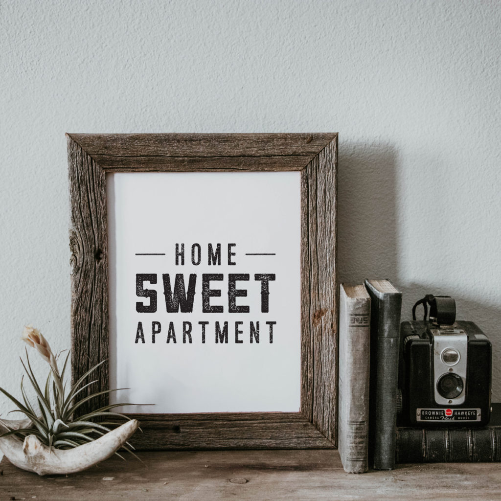 Apartment Ideas: Look at your walls like a blank canvas. When you first move in, all of the blank space may be intimidating. Fear not, there are so many ways to fill it! This Home Sweet Apartment wall art print is minimal and striking. With three different sizes available, it can be hung in a frame or placed on a small shelf for a pop of personality.