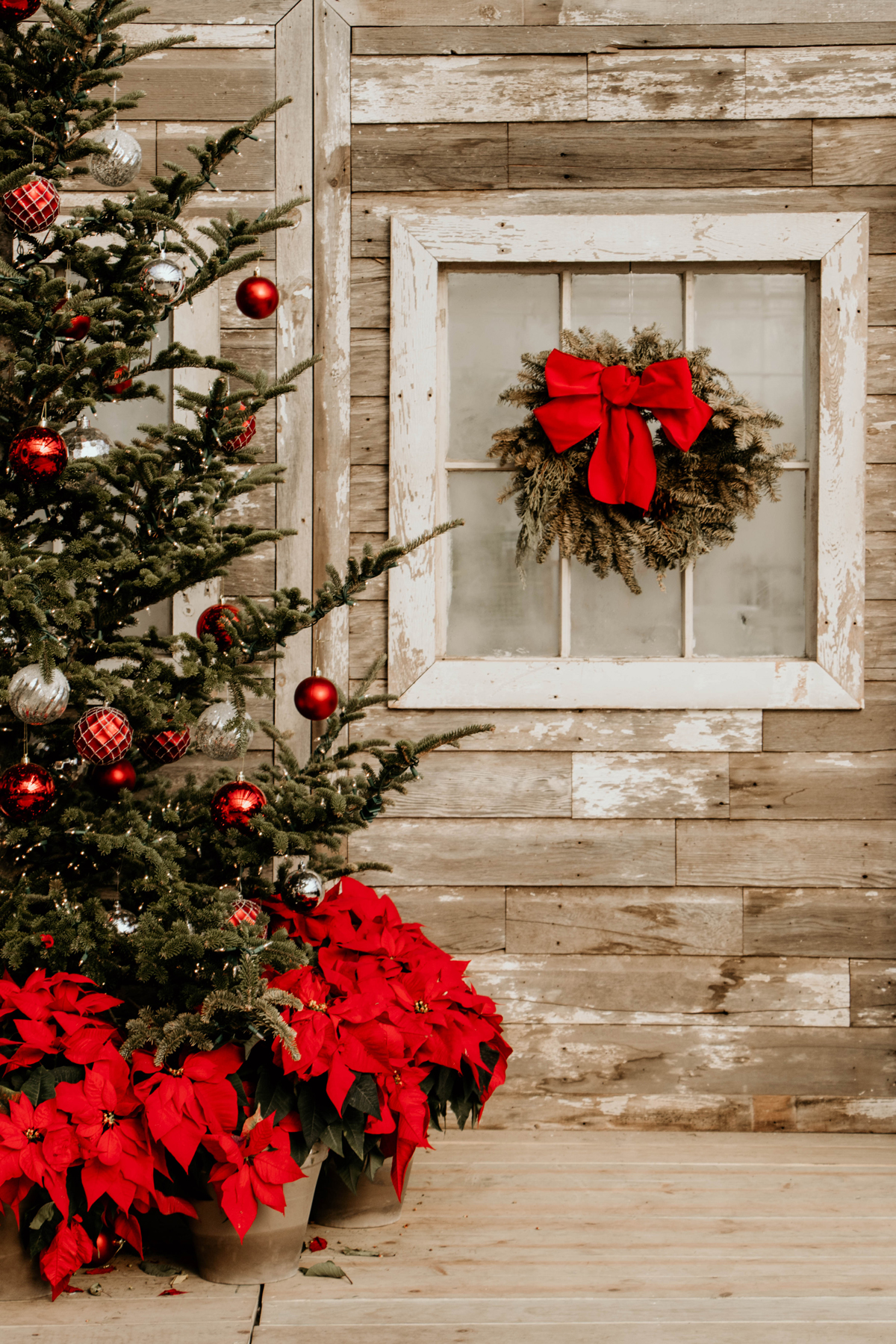 Christmas Set | Winter Photos | Mulhalls | Omaha Nebraska | The Anastasia Co