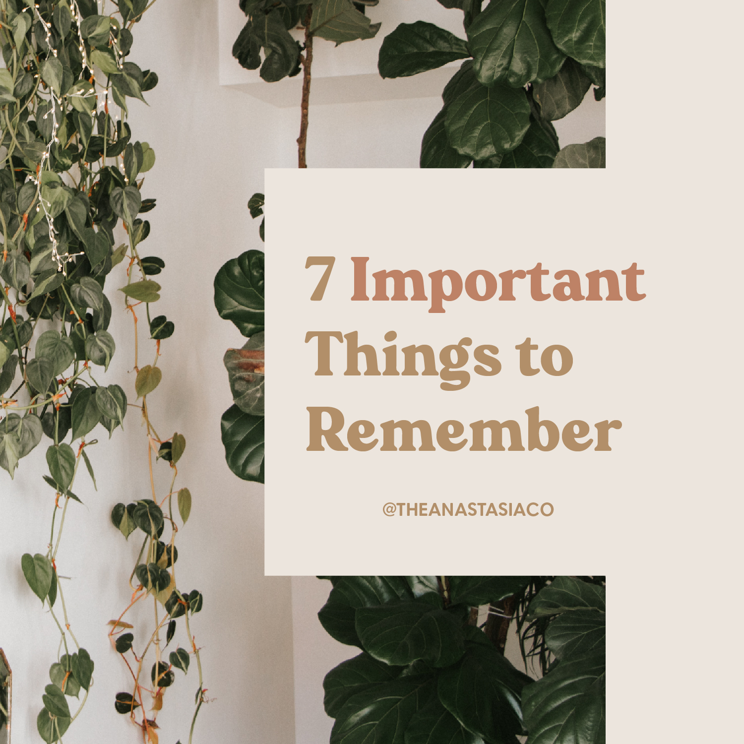 7 Inspiration and Motivational Quotes to Remember | The Anastasia Co