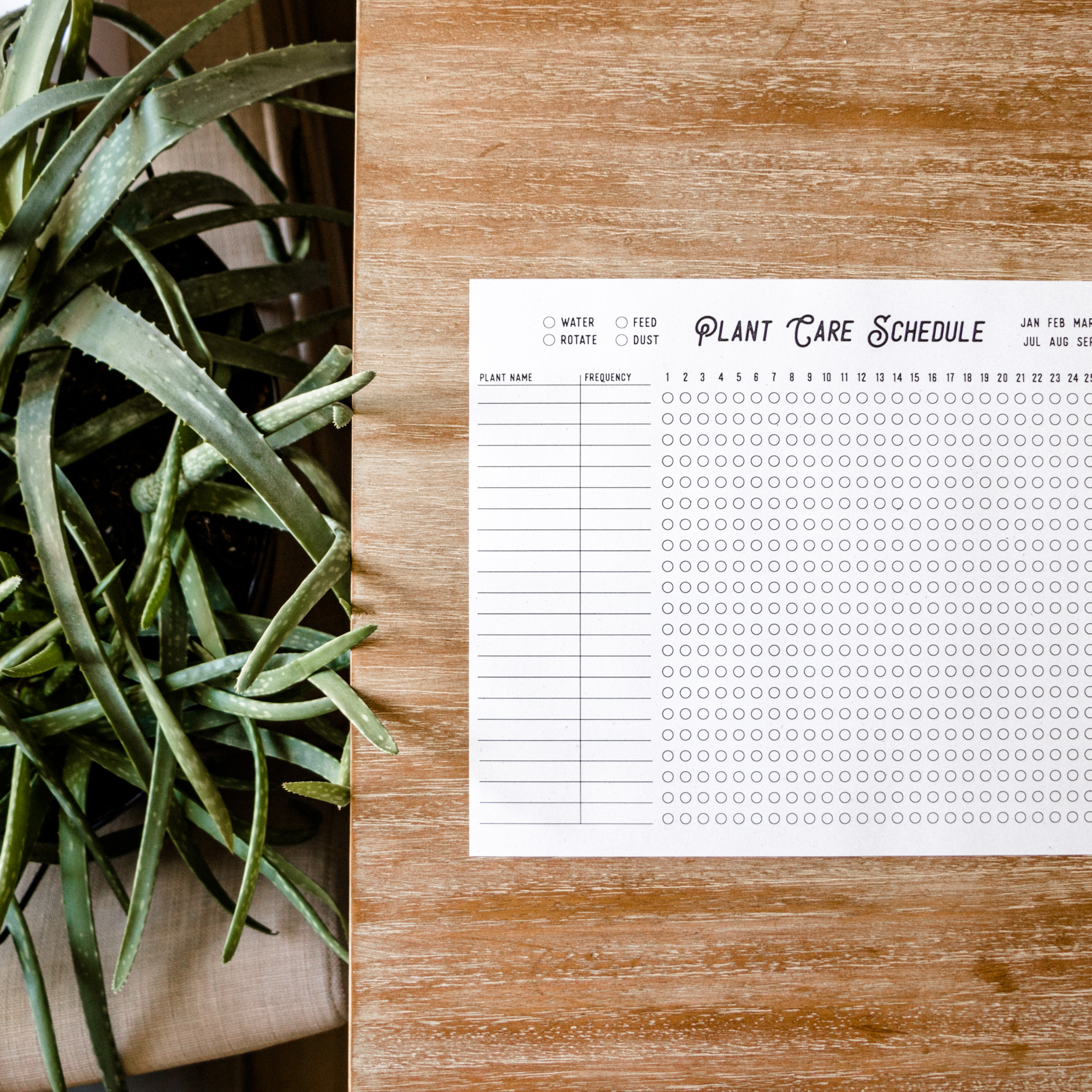 Remembering how often to water your house plants can be a struggle. This printable plant watering schedule will help you track how often to water, feed, dust, and rotate your house plants at a glance.