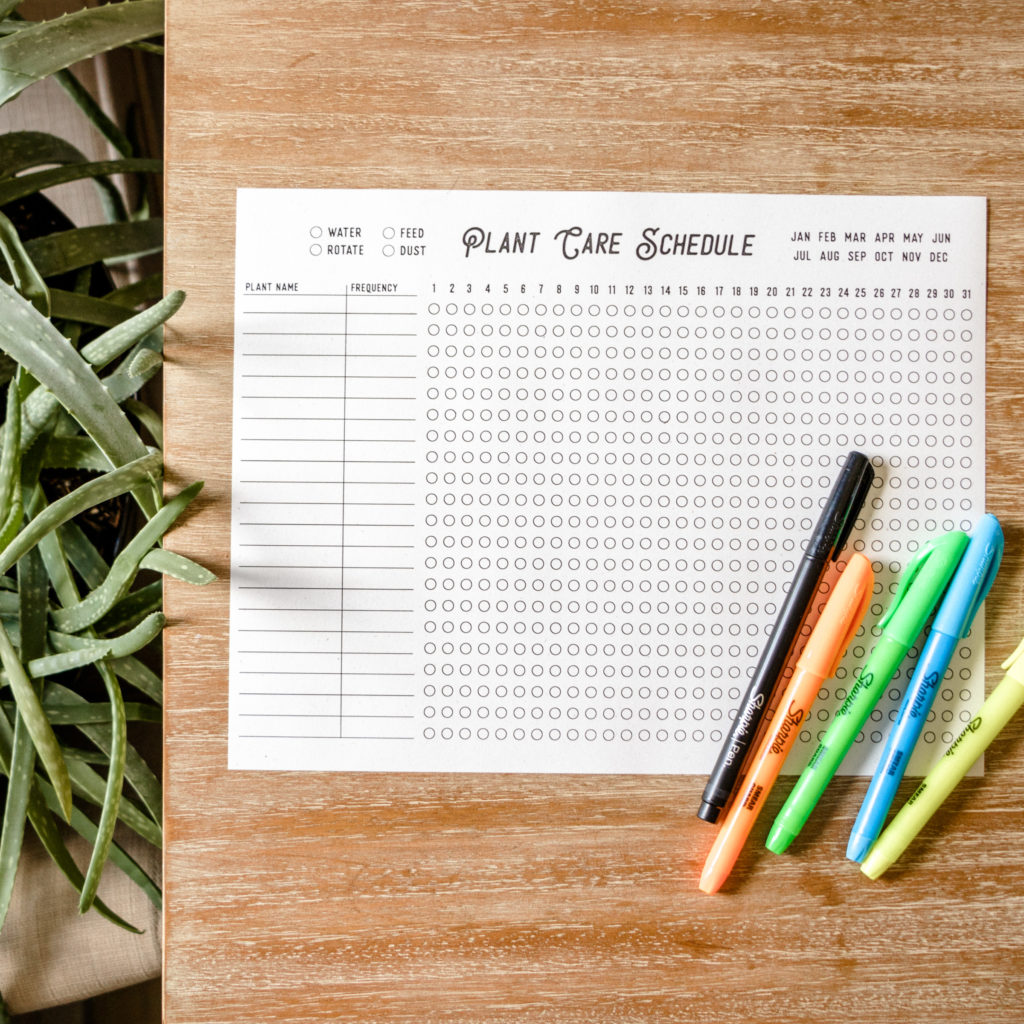 Remembering how often to water your house plants can be a struggle. This printable plant watering schedule will help you track how often to water, feed, dust, and rotate your house plants at a glance.